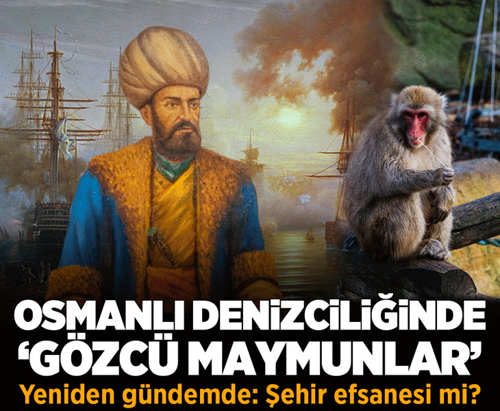 Osmanlı donanmasında 'maymun gözcüler' detayı! 'Topa tutulmuş maymuna dönmek' deyiminin öyküsü