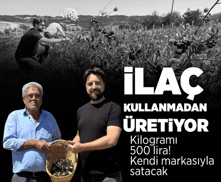 İlaç kullanmadan üretiyor: Kilogramı 500 lira! Kendi markasıyla satacak