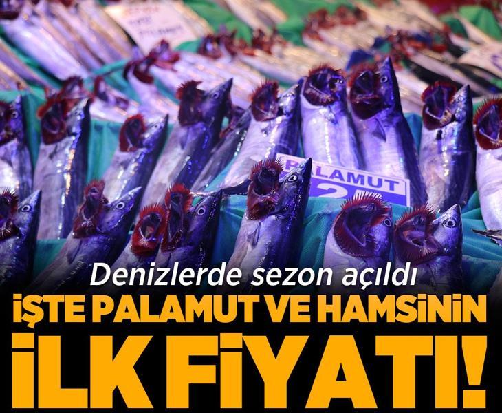 Denizlerde sezon açıldı: İşte palamut ve hamsinin ilk fiyatı!
