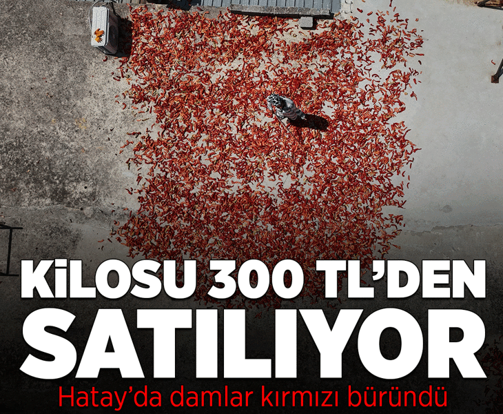 Hatay'da damlar kırmızıya büründü! Kilosu 300 TL'den satılıyor