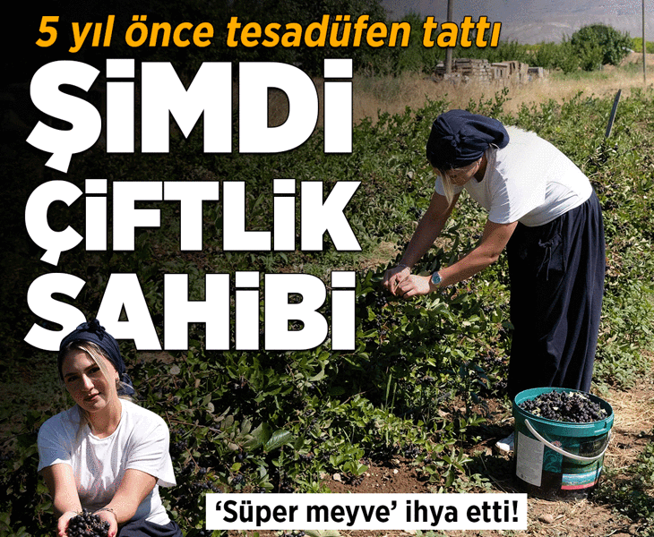 'Süper meyve' ihya etti! 5 yıl önce tesadüfen tattı, şimdi çiftlik sahibi