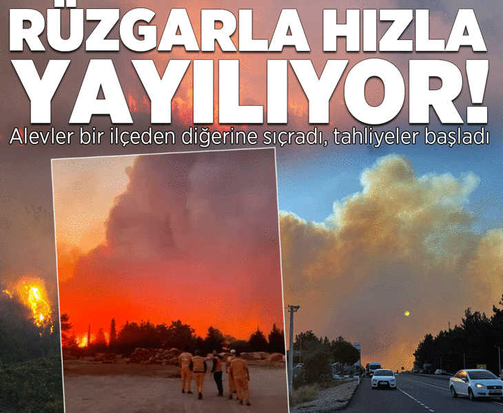 Alevler rüzgarla yayıldı! 2 kentte orman yangını alarmı