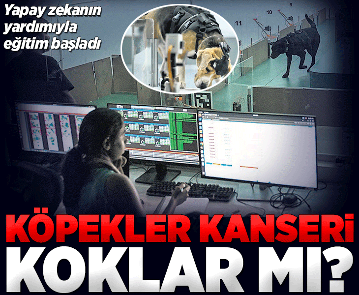 Köpekler kanseri koklar mı?