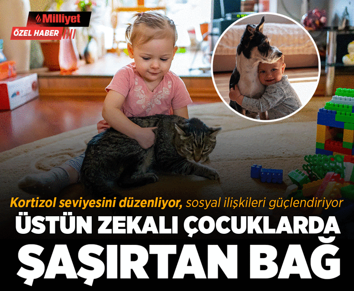 Üstün zekâlı çocuklarda şaşırtan bağ! Kortizol seviyesini düşürüyor, sosyal ilişkileri güçlendiriyor