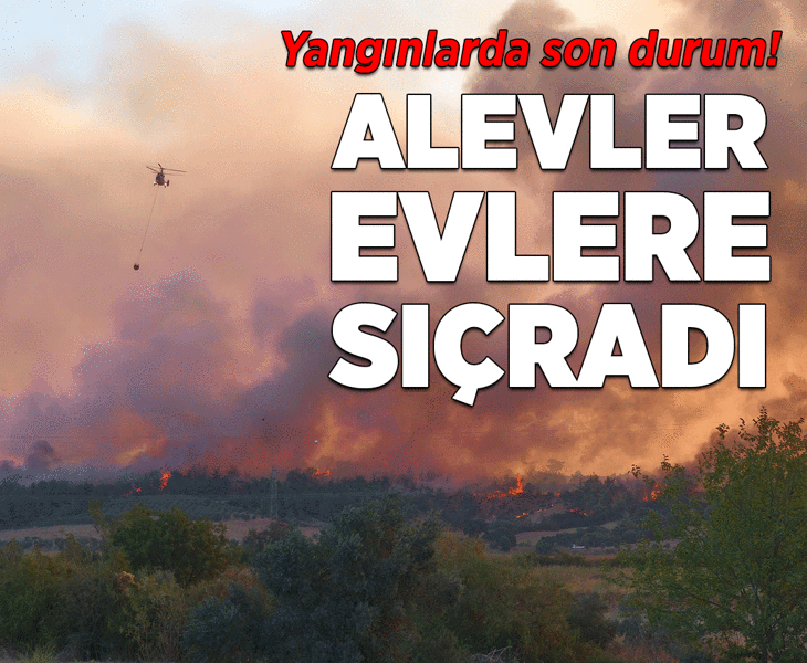 Türkiye'nin ciğerleri yanıyor! Antalya ve Adana'da mücadele sürüyor... Orman yangınlarında son durum