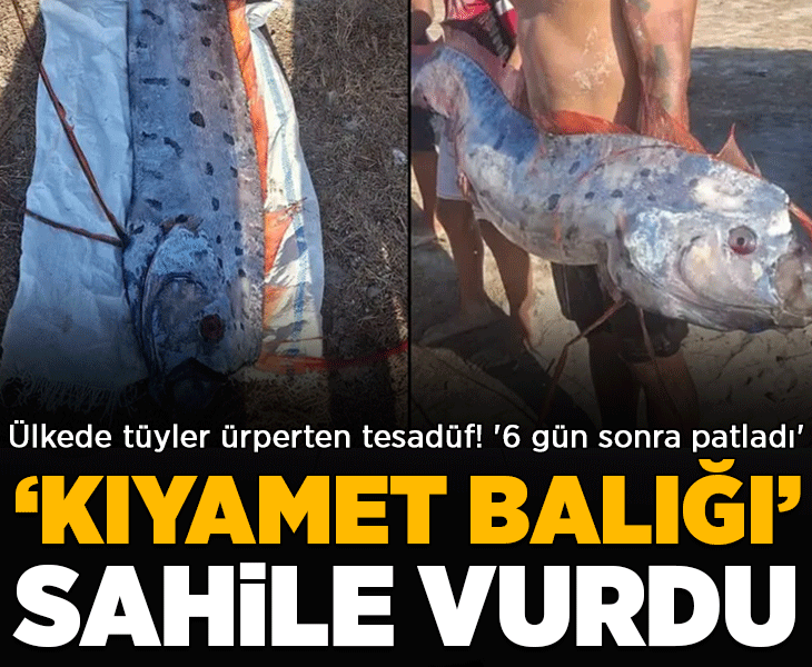 'Kıyamet balığı' sahile vurdu! Ülkede tüyler ürperten tesadüf: '6 gün sonra patladı'