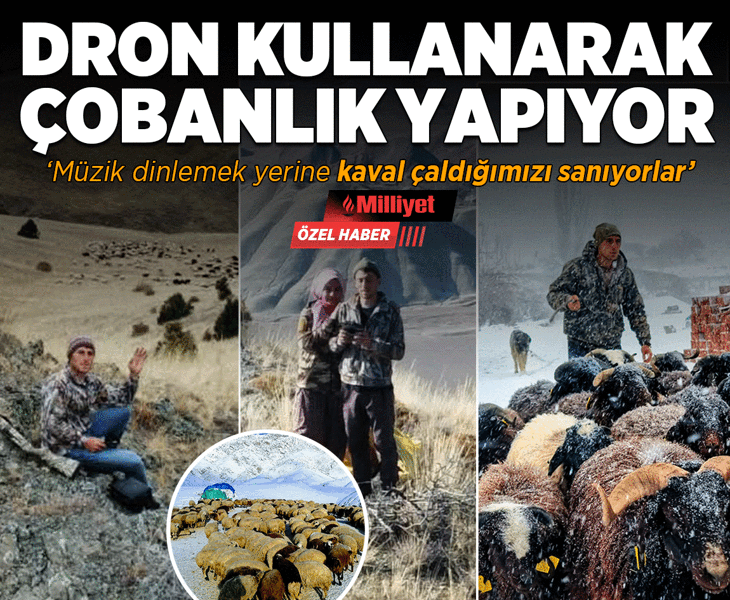 Dron kullanarak çobanlık yapıyor! ‘Müzik dinlemek yerine kaval çaldığımızı düşünüyorlar’