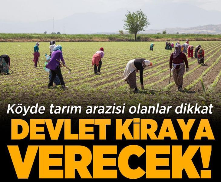 Köyde tarım arazisi olanlar dikkat: Devlet kiraya verecek