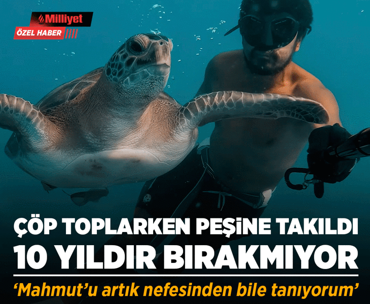 Çöp toplarken peşine takıldı, 10 yıldır bırakmıyor! 'Mahmut'u artık nefesinden tanıyorum'