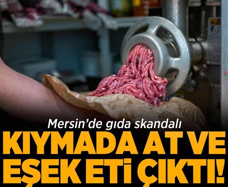 Mersin’de gıda skandalı! Kıymada at ve eşek eti çıktı