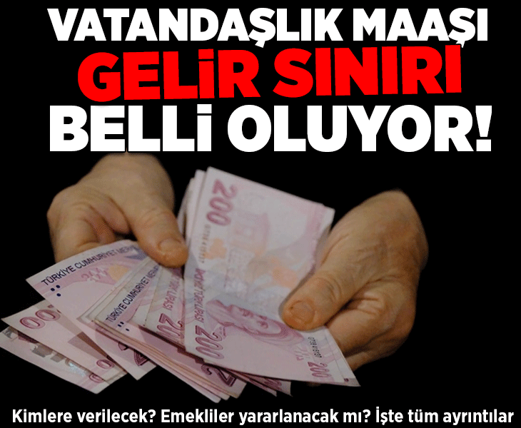 Son dakika...Vatandaşlık maaşında gelir sınırı belli oluyor! Emekliler yararlanacak mı? İşte tüm detaylar