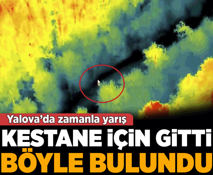 Yalova'da zamanla yarış! Ormanda kayboldu termal kamera ile bulundu