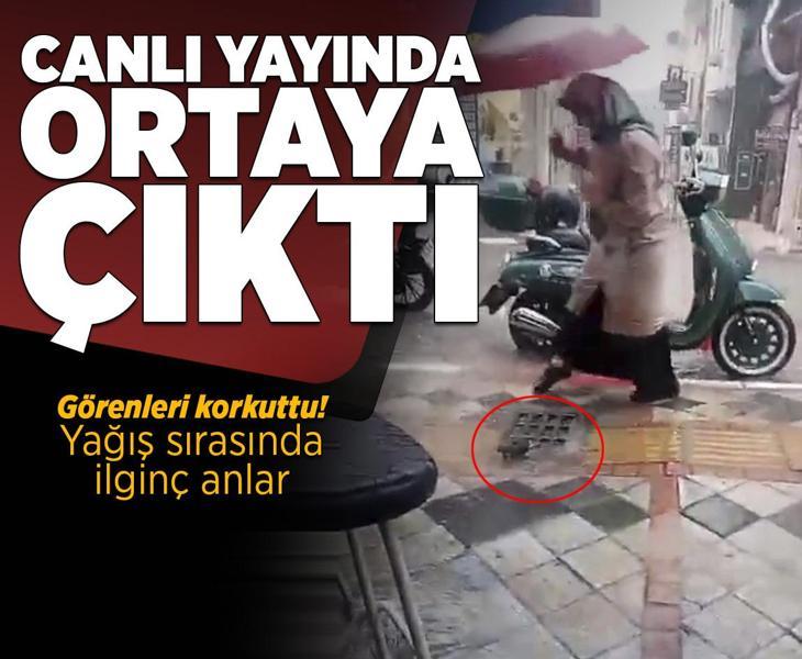 Canlı yayın yaparken gözlerine inanamadı! Mazgaldan çıkan görenleri korkuttu