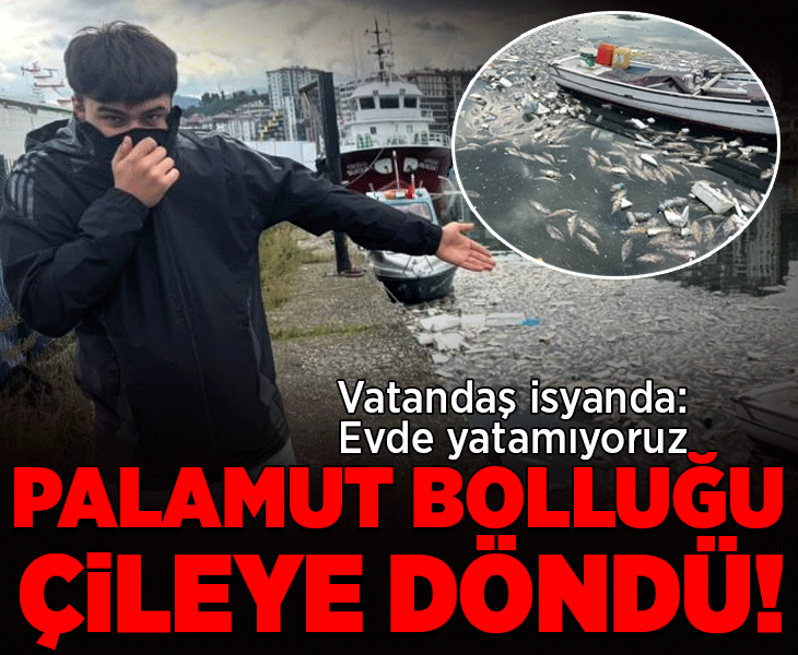 Palamut skandalı! Vatandaşlar isyan etti: 'Kokudan evde yatamıyoruz!'
