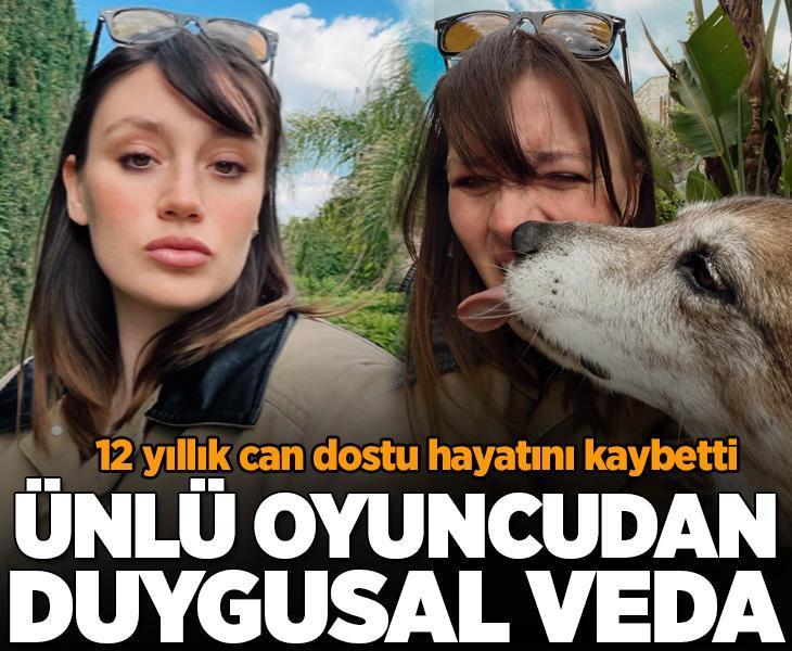 Gizem Karaca acı haberi duyurdu! 12 yıllık can dostu hayatını kaybetti