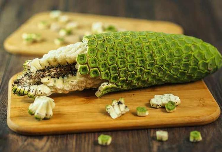 Monstera Deliciosa