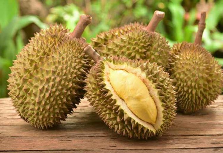 Durian