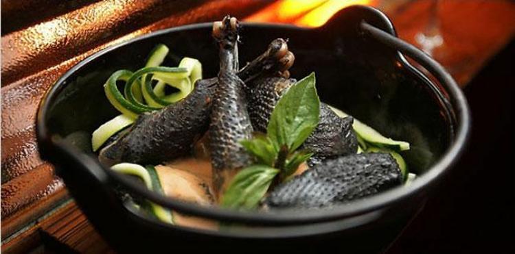 Ayam Cemani (Siyah Tavuk)