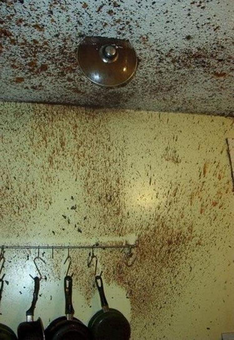 Kesinlikle yemek yapmaması gereken 60 kişi