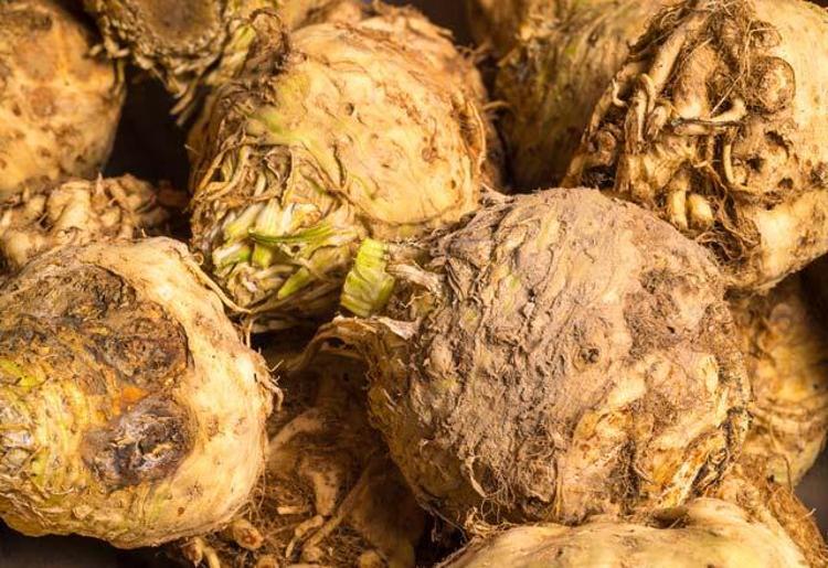 Celeriac