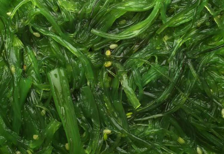 Wakame