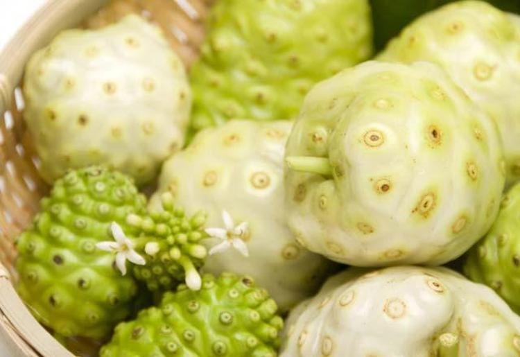 Noni