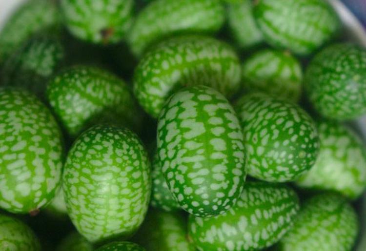 Cucamelon meyvesinin faydaları nelerdir