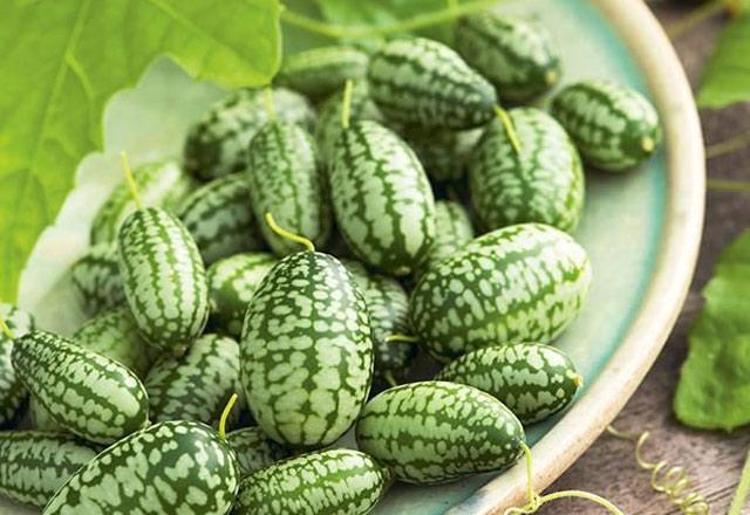 Cucamelonu n faydaları nelerdir