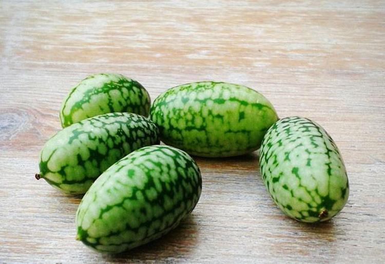 Cucamelon meyvesinin faydaları nelerdir