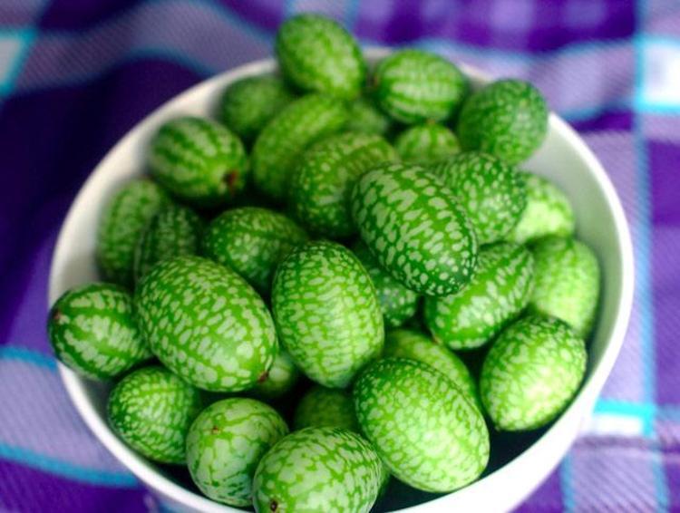 Cucamelon meyvesinin faydaları nelerdir