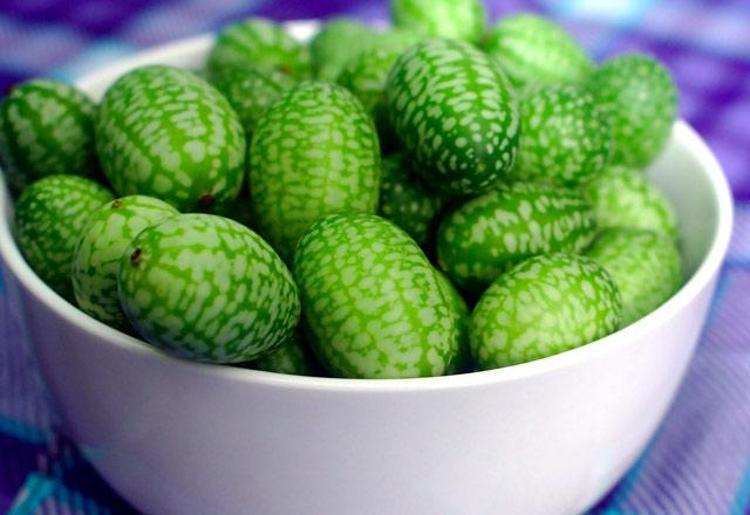 Cucamelon meyvesinin faydaları nelerdir