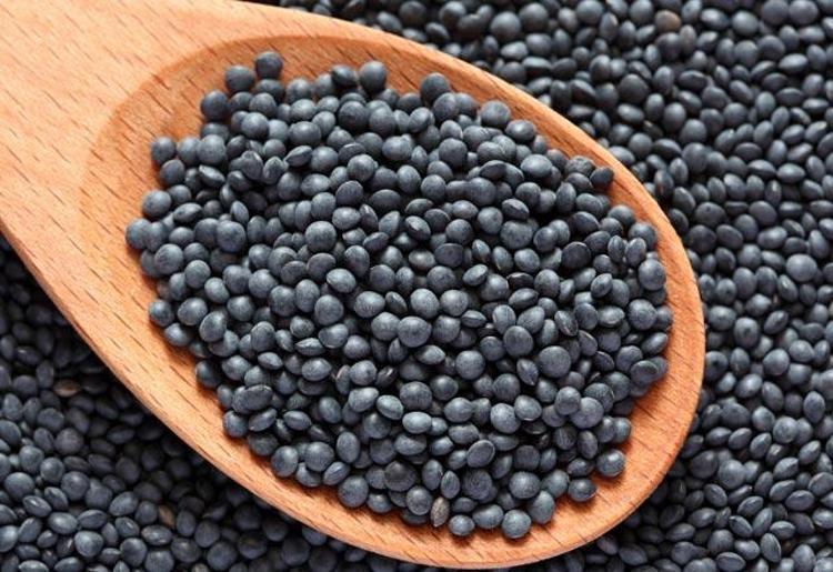 Her türlü yemeklerde kullanılan ve ülkemiz insanlarının sıklıkla tükettiği mercimek çeşitlerine bir yenisi eklendi.Beluga (kara mercimek) olarak bilinen bu bakliyat türü hem bulunması kolay hem de sağlık açısından inanılmaz faydalar sağlıyor. İşte beluga mercimeğinin sağlığımıza olan faydaları