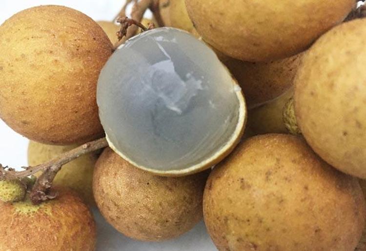 Longan meyvesi halk arasında ehderha gözü olarak bilinir. Sağlık açısından bir çok faydalar sağlayan bu meyvenin yapraklarından çekirdeklerine kadar bir çok fayda sağladığı görülmüştür.Türkiyede çok fazla yetişmeyen bu mevenin sağlığınıza ne gibi faydalar sağladığını merak ediyorsanız hemen açıklayalım.İşte longan meyvesinin sağlığımıza olan faydaları