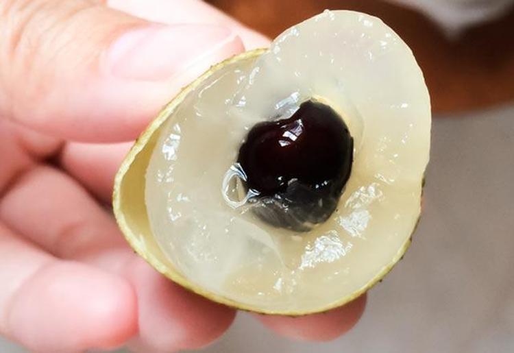 Cildi onarır
