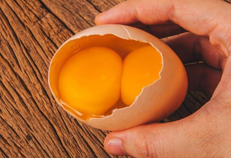 Çift sarılı yumurta ne işe yarıyor