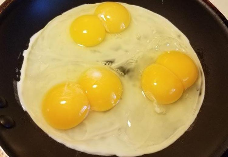 Çift sarılı yumurta ne işe yarıyor