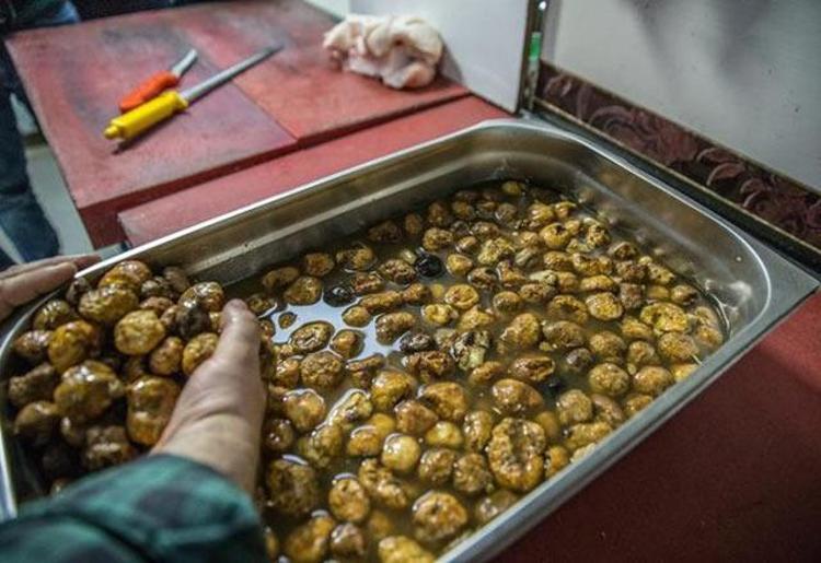 Şanlıurfa’nın meşhur lezzeti: Keme kebabı