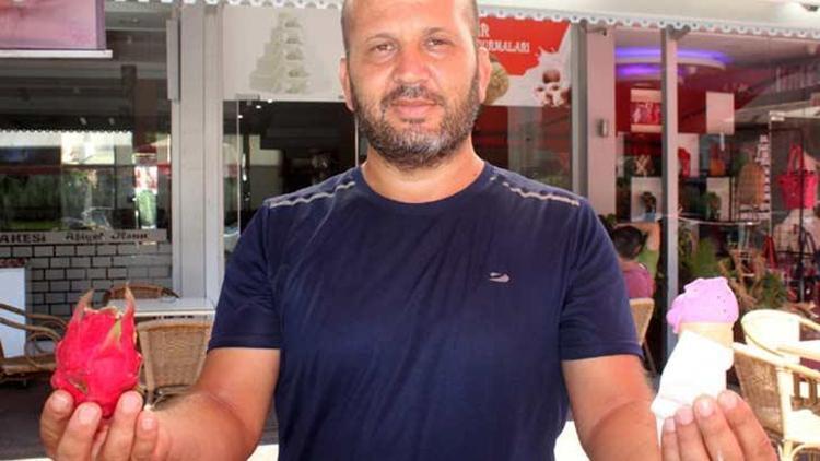 Ejder meyveli dondurmaya ilgi