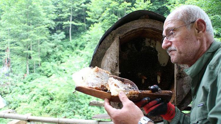 İnsan eli değmeden üretilen lezzet: Karakovan balı