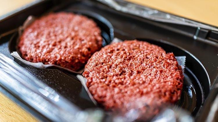 Vegan veya vejeteryan etler (etsiz et)