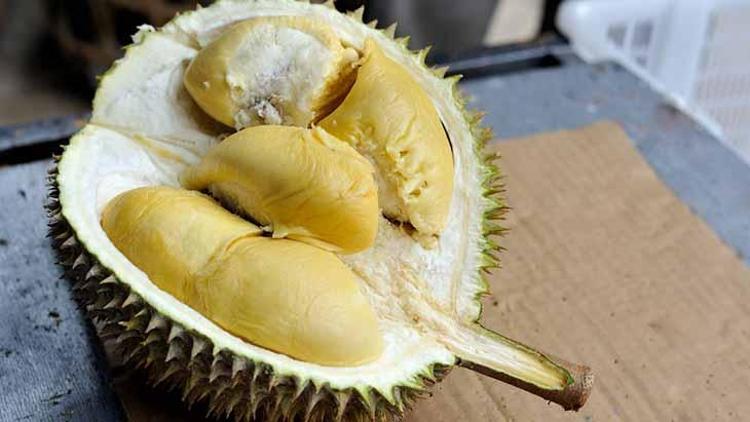 Durian