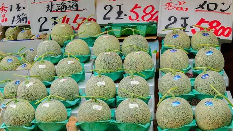 Yubari kavunu