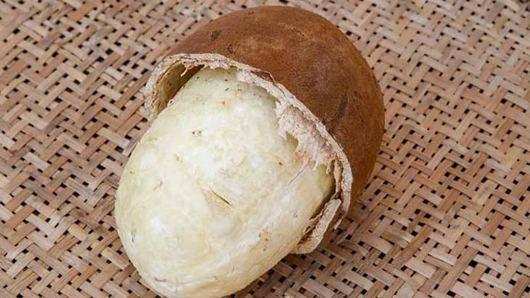 Cupuacu