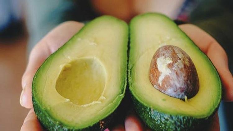 Avokado