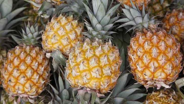 Olgun ananas nasıl seçilir Ananas seçerken dikkat edilmesi gerekenler
