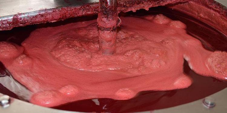 Elazığın patentli lezzeti: Vişneli dondurma