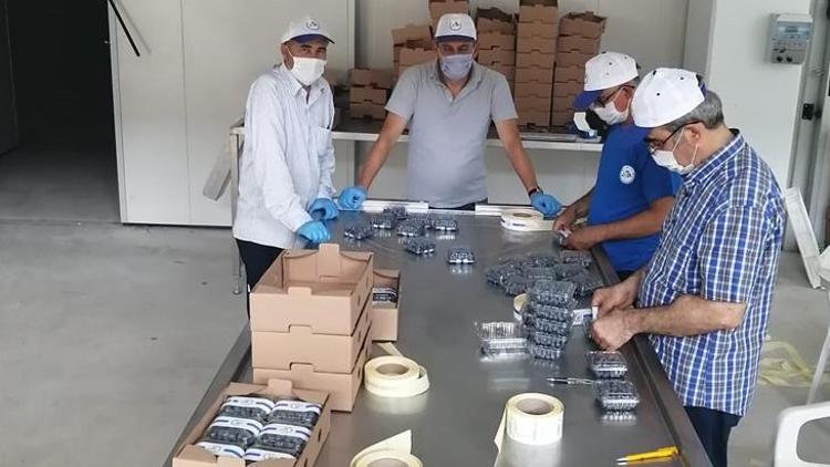 Dünyanın her yerinden sipariş yağıyor Paket paket satılıyor