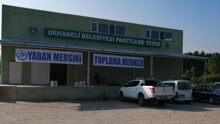 Dünyanın her yerinden sipariş yağıyor Paket paket satılıyor