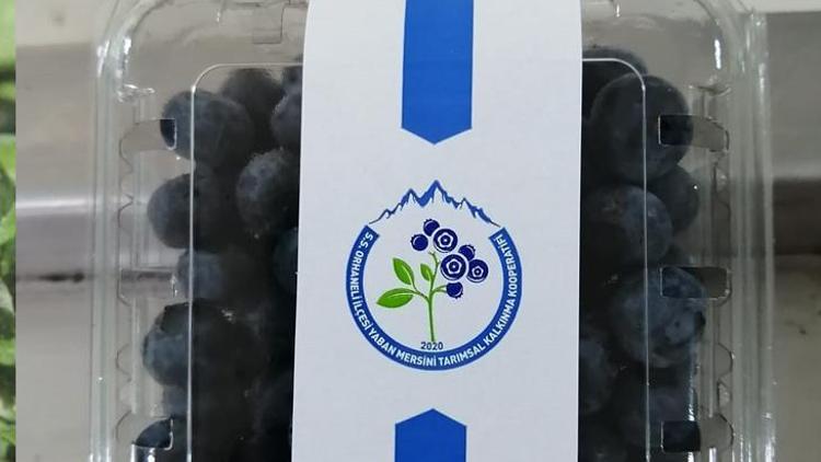 Dünyanın her yerinden sipariş yağıyor Paket paket satılıyor
