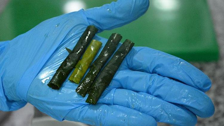Malatyanın Padişah yemeği kiraz yaprağı sarması tescillendi